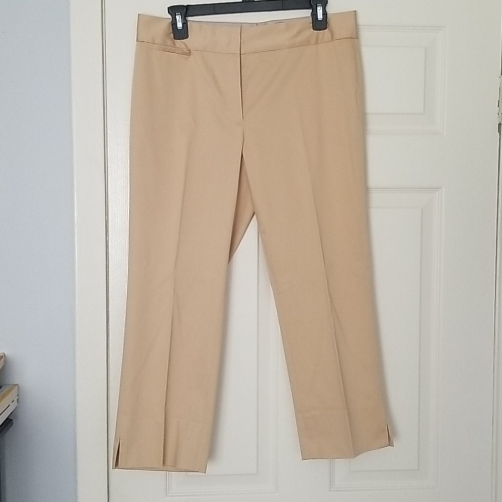 Elegant capri pants! Size 10